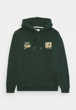 Pier One Sudadera - Dark Green 16 Pier One Sudadera - Dark Green -Pier One 64f50944b395457bbc2b7cbffb367ad2